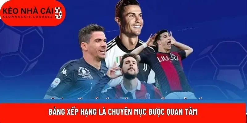 Chuyên mục này giúp fan tiết kiệm thời gian tìm kiếm