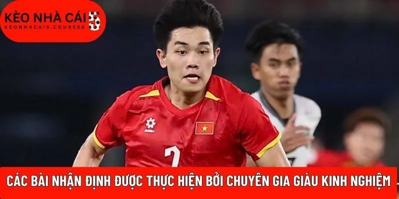 Các bài nhận định được thực hiện bởi chuyên gia giàu kinh nghiệm
