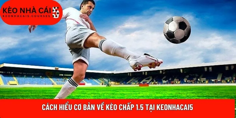 Cách hiểu cơ bản về kèo chấp 1.5 tại Keonhacai5