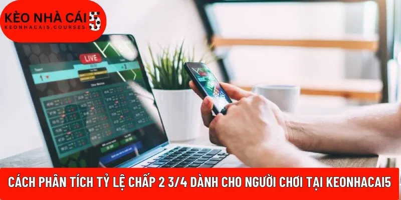 Cách phân tích tỷ lệ chấp 2 3/4 dành cho người chơi tại Keonhacai5