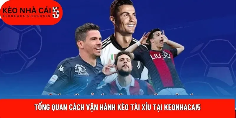 Tổng quan cách vận hành kèo tài xỉu tại Keonhacai5